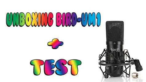 unboxing bird um test youtube