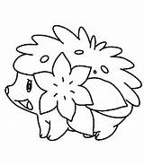 Coloring Shaymin Pages Form Sky Pokemon Getdrawings sketch template