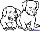 Pitbull Coloring Pages Rottweiler Dog Dogs Step Baby Printable Pitbulls Draw Puppy Color Drawing Kids Pit Animals Book Wallpaper Elegant sketch template