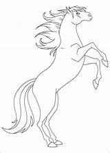 Kolorowanki Ausmalbilder Lenas Leny Ranczo Mistral Darmowe Malvorlagen Disegni Cheval Pferde Lena Ausmalen Colorier Coloriez Barbie Chevaux Drawings Drucken Zeichnen sketch template