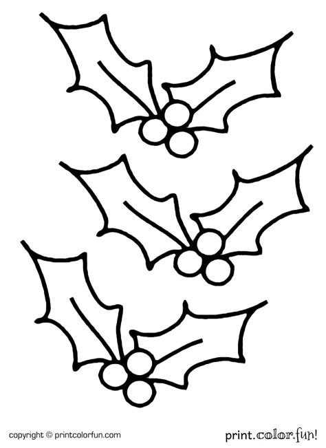 christmas holly coloring coloring pages
