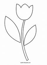 Flower Template Outline Tulip Coloring Printable sketch template