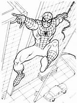 Spiderman Superheld Coloring sketch template