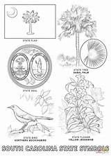 Carolina South Coloring State Pages Symbols Flower Printable Choose Board sketch template