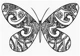 Zentangle Butterflies Henna Butterfly Burns Brendan Brendans Pm Posted sketch template