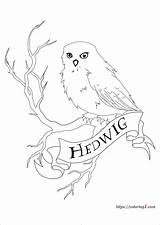 Hedwig Pages Coloring1 Wand Mandala sketch template