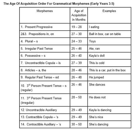 age  acquisition order  grammatical morphemes early years