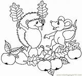 Hedgehog Hedgehogs Apple Garden Coloring Online Printable Animals Color sketch template