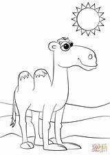 Camel Coloring Cartoon Cute Pages Camels Drawing Printable Puzzle Animals Getdrawings Supercoloring Categories sketch template