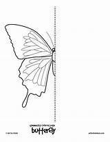 Symmetry Simetria Artforkidshub Motyl Bugs Symetryczne Druku Colouring Dzieci Kolorowanki Mariposas Rysunek Malvorlagen Tracing Handouts Grade Nauka Ec0 Zadania Domu sketch template