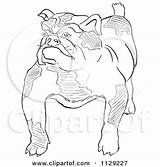 Outlined Bulldog Cartoon Clipart Coloring Vector Picsburg Scottie Rug Dog sketch template
