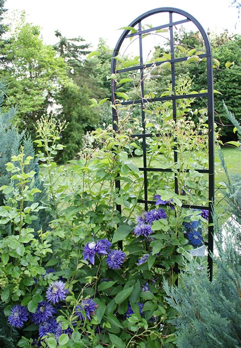 The Burlington Trellis ~ Freestanding Support ~ Classic Garden Elements