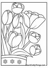 Coloring Tulip Flowers Tulips Iheartcraftythings Bountifully Surely Complement sketch template