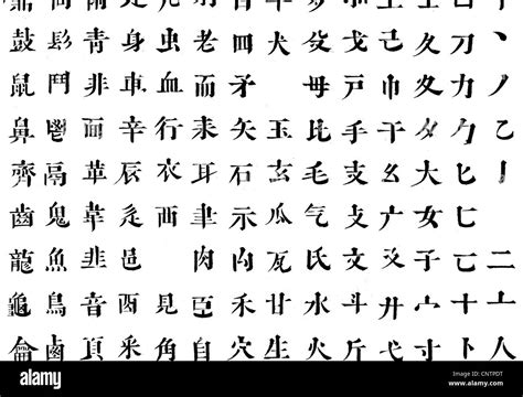 chinese alphabet chinese alphabet pinyin explained language bug