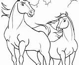 Cavalli Colorare Selvaggi Stallion Cimarron sketch template