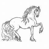 Horse Paard Paarden Coloring Choose Board Voor Leuk Kids Pages sketch template