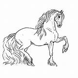 Paard Paarden Tekeningen Dieren Tekening Makkelijk Downloaden Terborg600 Uitprinten Leukvoorkids Veulen Friese Schattige Kleuren Plaatjes sketch template