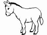 Donkey Coloring Burro Printable Activities School Ws Animals sketch template
