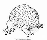 Cervello Gehirn Colorare Brains Mente Medio Inbetween Imparare Dpi Bookmark Permalink Condividi sketch template