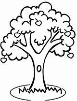 Tree Coloring Clipart Clipground Apple sketch template