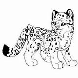 Coloring Leopard Pages Baby Snow Frank Kids Lisa Getdrawings Colouring Leopards Clouded Getcolorings Print sketch template