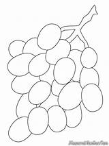 Grapes Buah Mewarnai Anggur Bunch Grape Weintrauben Colorir Kelengkeng Hijau Ausmalbilder Mewarnaigambar Uvas Ausmalbild Bagus Sumber Imprimir sketch template