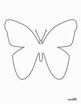 Butterfly Colouring Coloringhome Buterfly Youngandtae sketch template