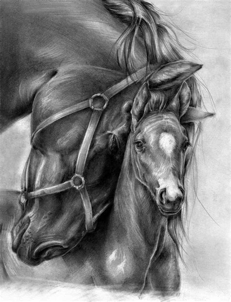 lil      teach  horse pencil drawing pencil