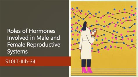 Roles Of Reproductive Hormones Ppt