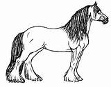Horse Coloring Pages Draft Getcolorings sketch template