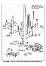 Desert Coloring Pages Drawing Choose Board sketch template