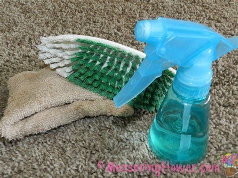 clean vomit   naturally clean vomit  carpet  furniture