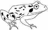Kikker Frosch Kleurplaten Grenouille Frog Kleurplaat Ausmalbilder Mewarnai Ausmalbild Kodok Katak Malvorlage Kikkertjes Bergerak Coloriage Animierte Imprimer Rana Animaatjes Rane sketch template