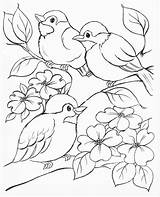 Coloring Bird Pages Flower Drawing Drawings Kids Sheets Easy Sketch Book Choose Board Animal sketch template
