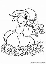 Coloring Embroidery Bunny sketch template