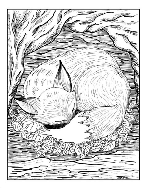 fox coloring pages  adults sadx