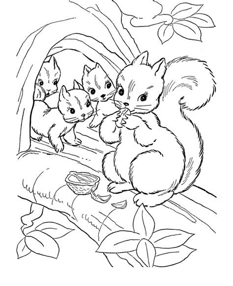 preschool squirrel coloring page coloring home