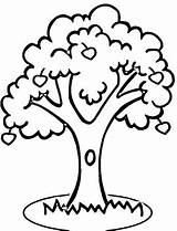 Coloring Pages Tree Trees Kids Tall Printable Tc High sketch template