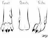 Wolf Paw Anatomy Paws Drawing Furry Deviantart Practice Clip Library Figure Clipart Template Sketch sketch template