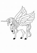 Unicorn Licorne Coloring1 Mermaid Winged Ailes Licornes Coloriages sketch template