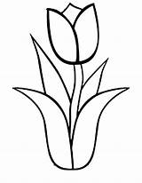 Tulip Drawing Simple Tulips Coloring Pages Single Printable Getdrawings sketch template