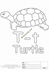 Tt Coloring Letter Printable Turtle Pages Alphabet Lettering sketch template