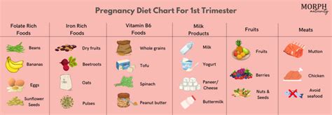 Pregnancy Diet Chart For 1st Trimester — Morph Maternity