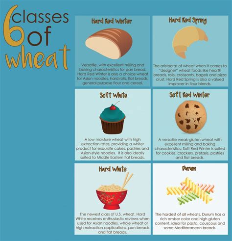 classes  wheat wheat foods council