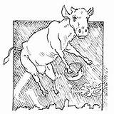 Cow Coloring Pages Calf Jumping Printable Spelling Color Mother Ones Little sketch template