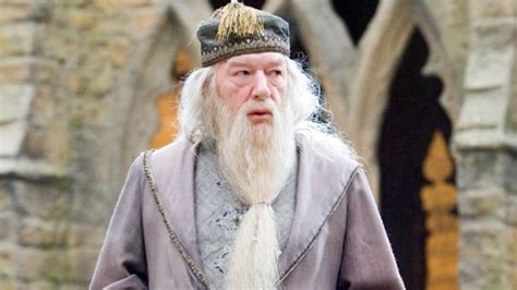 What You Never Noticed About Dumbledore S Robes In Harry Potter