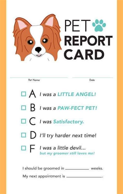 pet report card  report card template modern pet dog boarding