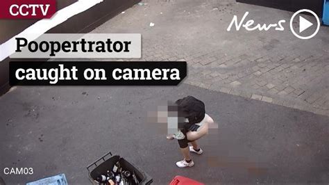 woman caught on cctv doing a poo in pyrmont the courier mail