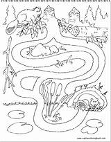 Beaver Labyrinth Coloringhome Popular sketch template