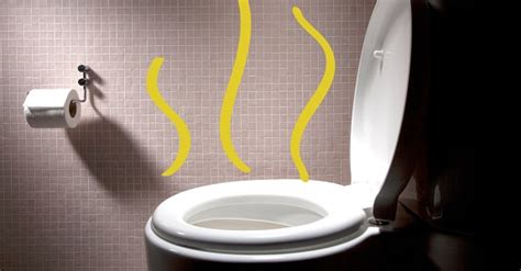 Strong Smelling Urine Causes And Interventions New
